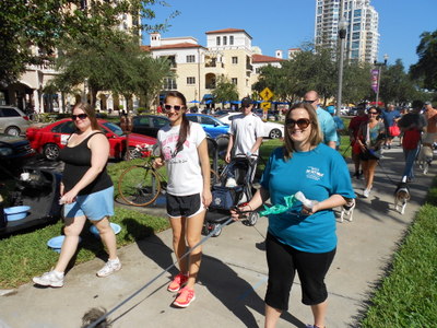 Volunteers walking pets at the Tampa Bay Pet Walk