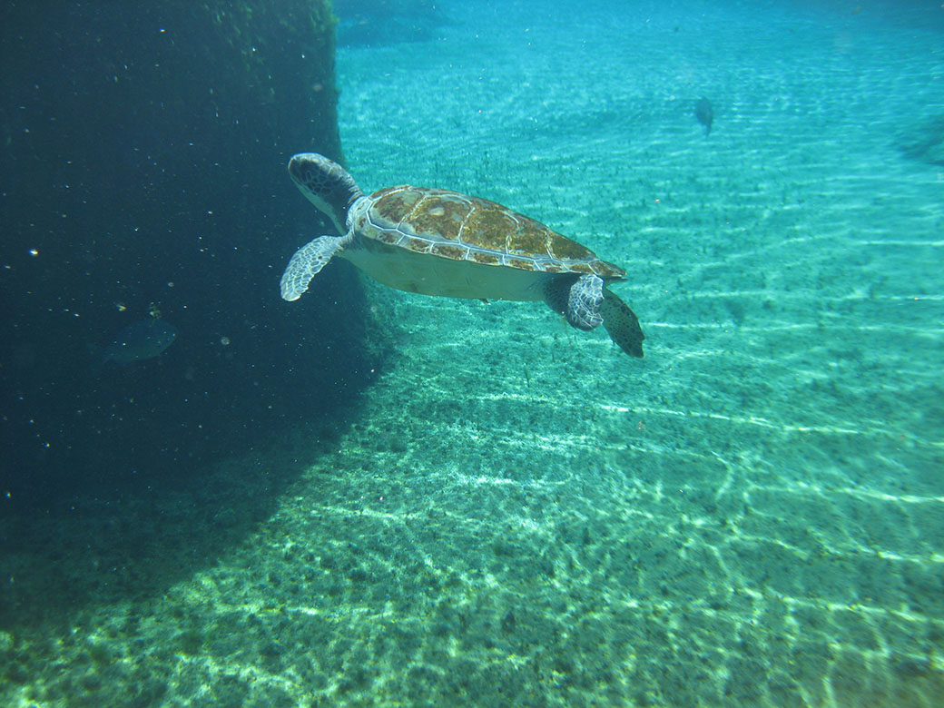 a photo of students in the cayman islands