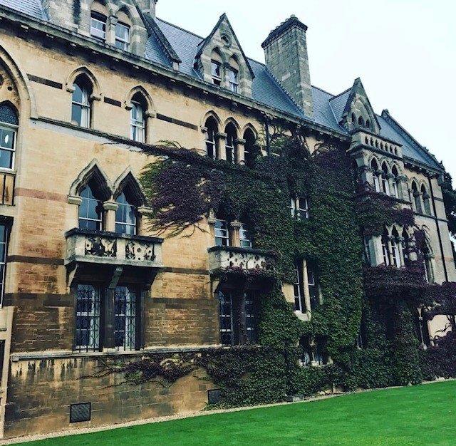 Ivy Covered Building