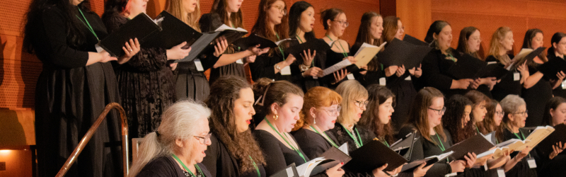 group picture of ensemble