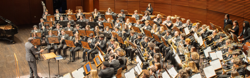 group picture of ensemble