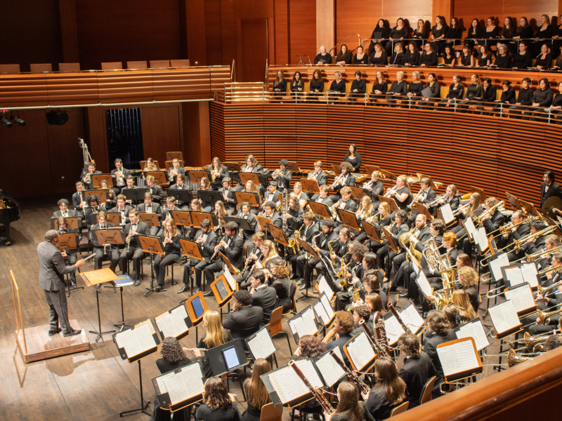 Orchestra during concert