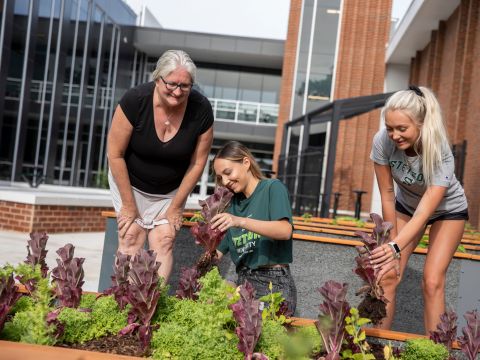 Students and professor taking care of the garden at Brown Hall