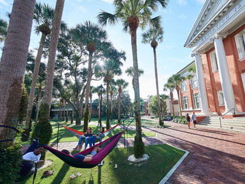 students laying on hammocks around the palm court