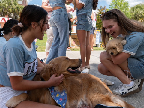 student hugging dog with a student and a puppy