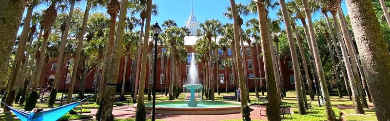 palm court during the day