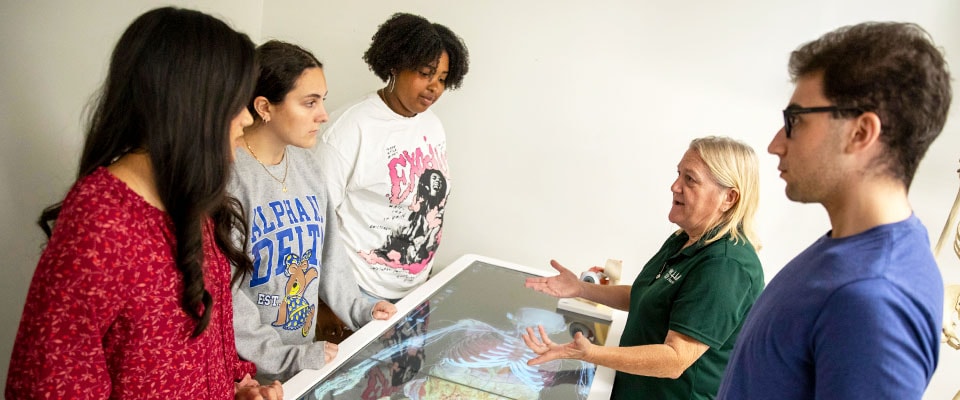 Students learning with interactive table from professor