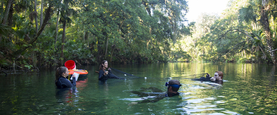 Professor and students conducting research while in the St. Johns River.