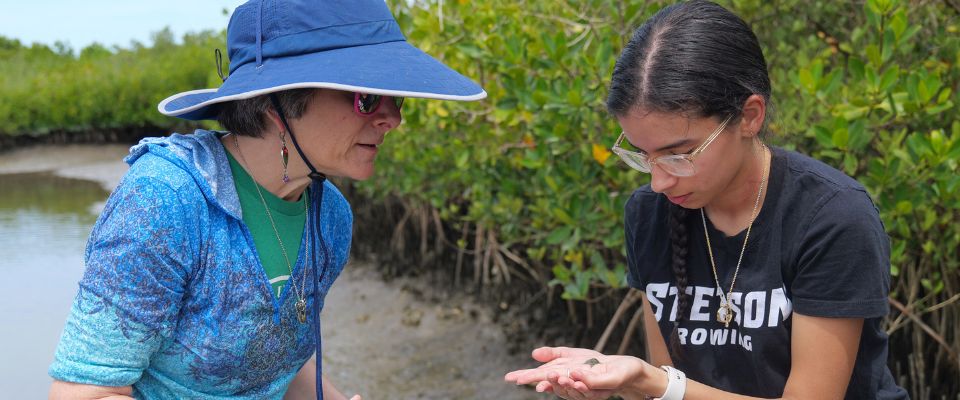 Professor and students conducting research while in the St. Johns River.