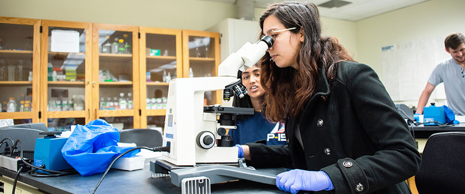 Students in biology lab