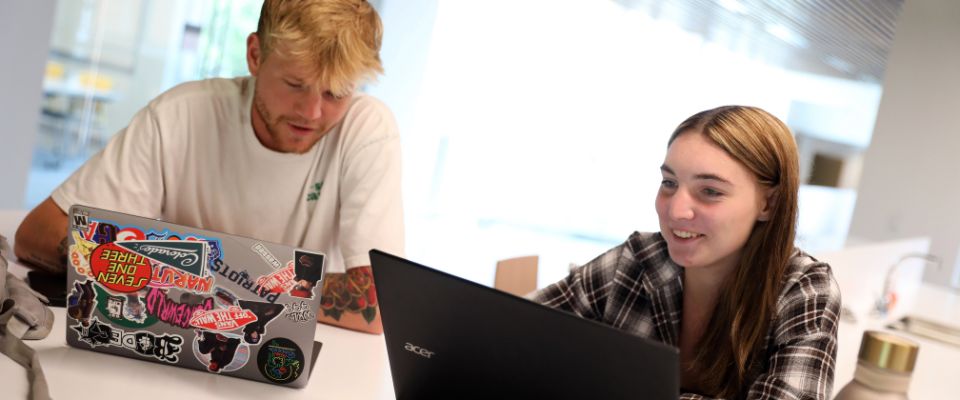 Web developer viewing webpage source code