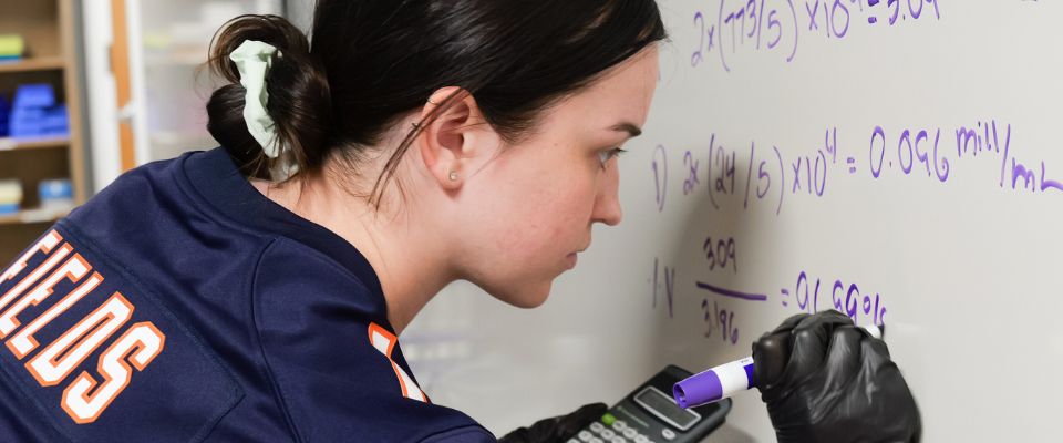 Students working on mathematics assignment