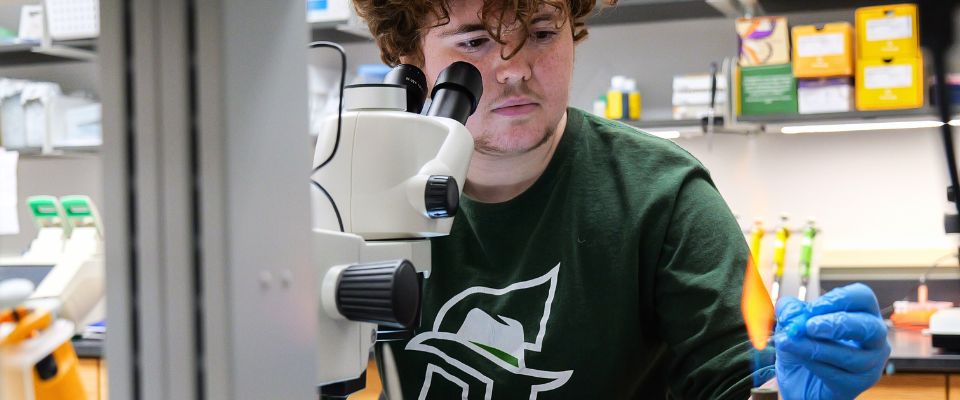 Molecular and Cellular Biology Students in Lab