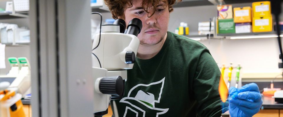 Molecular and Cellular Biology Students in Lab