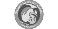 Dolphin Research Center Logo