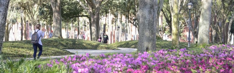 Student walking beside flowers on campus