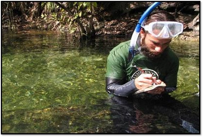 A student records data for a project while snorkeling at Blue Spring State Park.