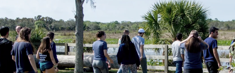 Students walks along a path beside a wetland, participating in an outdoor learning experience.