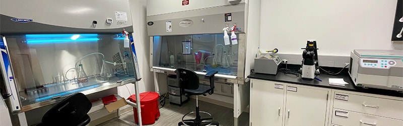 dye laboratory from inside