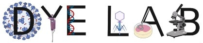 dye lab logo