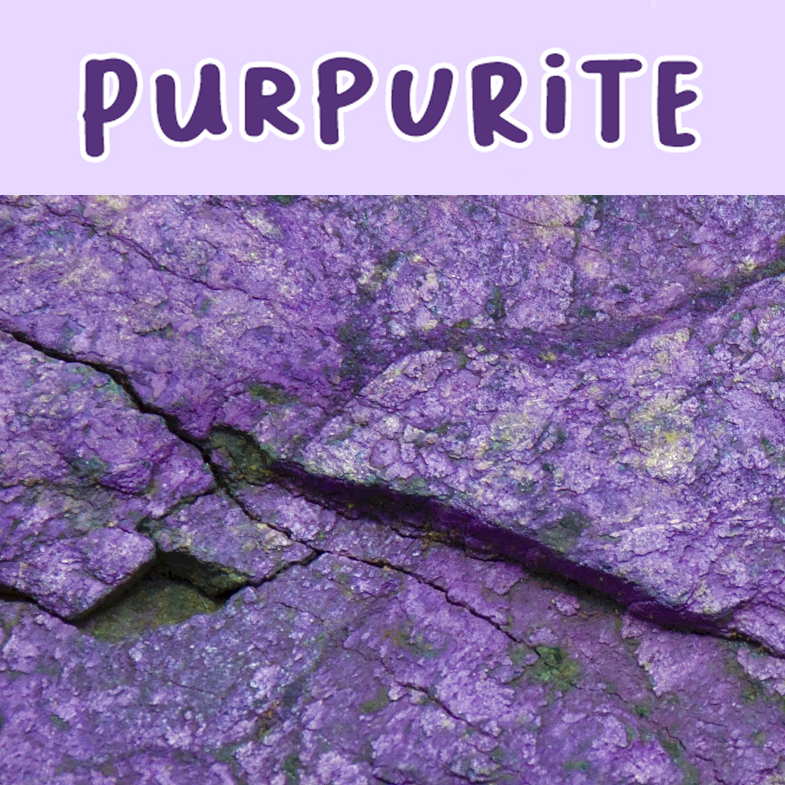 Purpurite