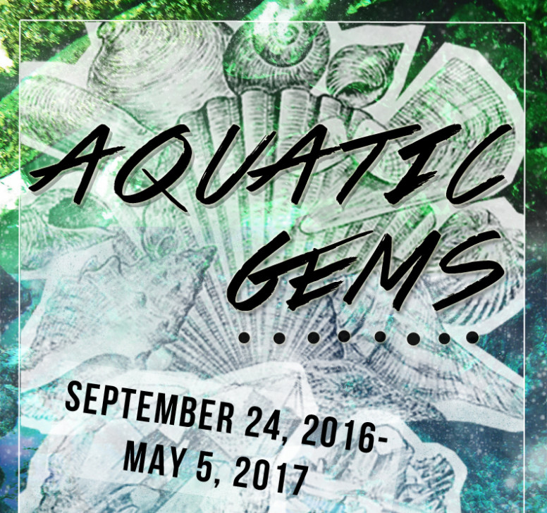 Aquatic Gems exhibit