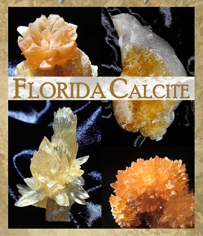 Florida Calcite exhibit