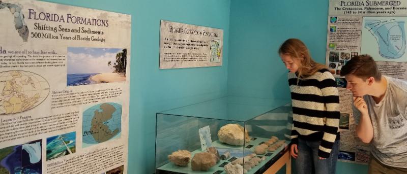 People observing the Gillespie Museum's Florida Formation exhibit