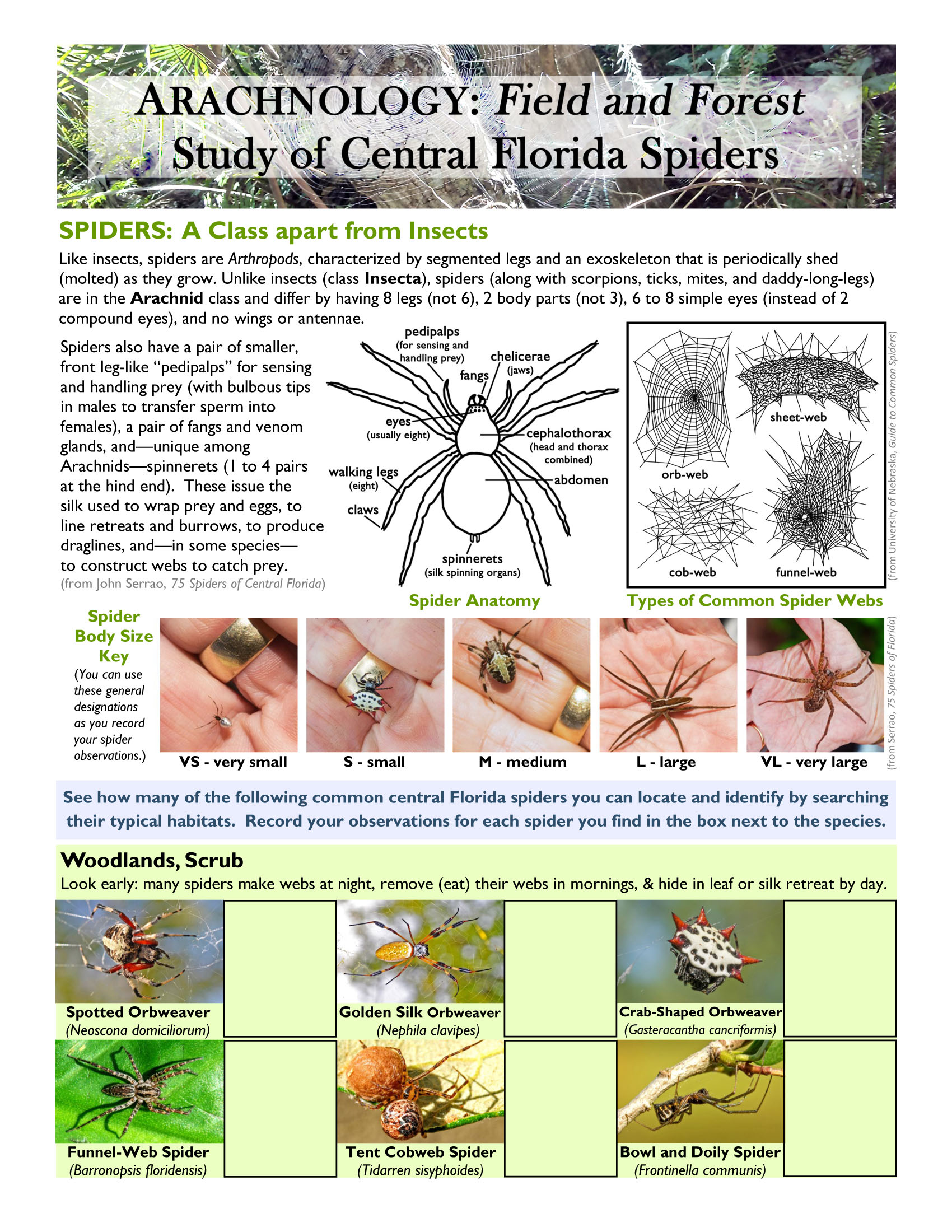 Arachnology Field Forest