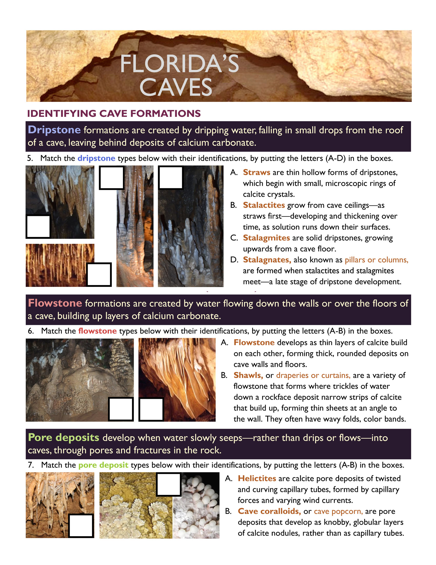 Caves in-depth worksheet