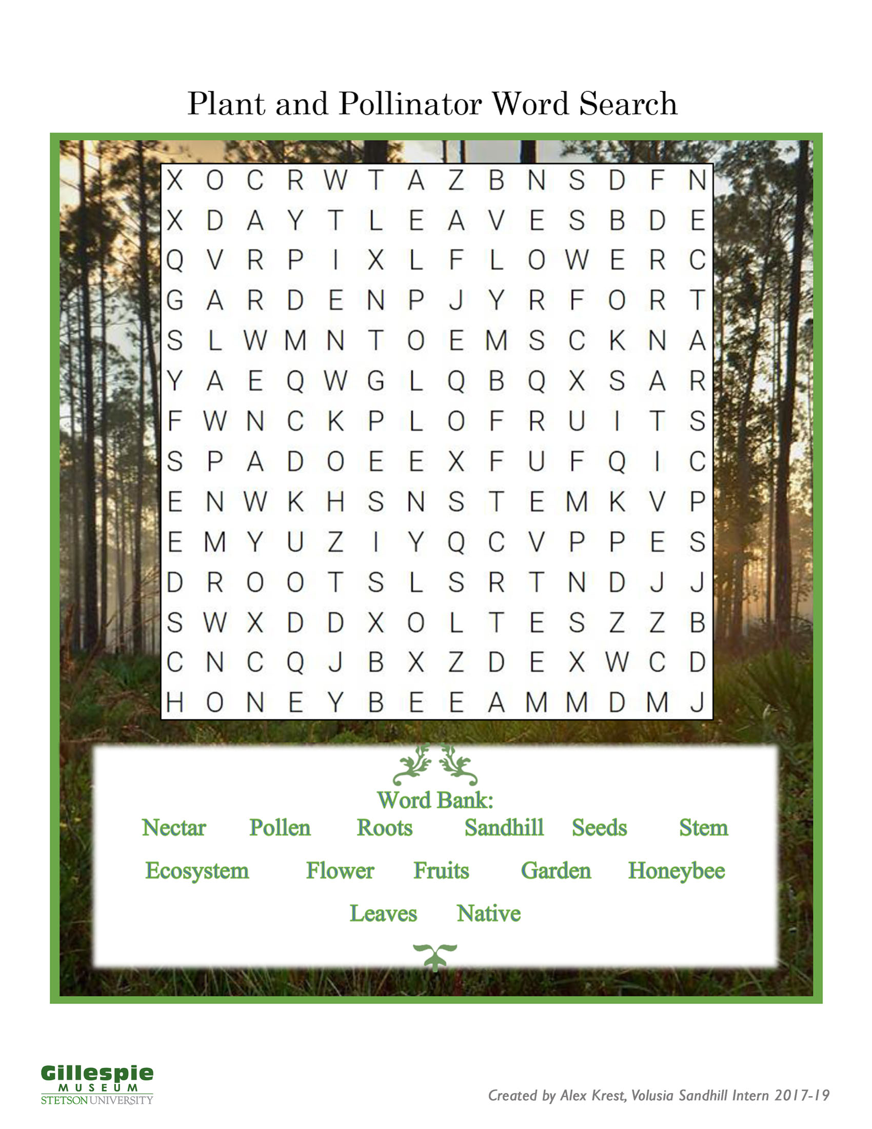pollination word search