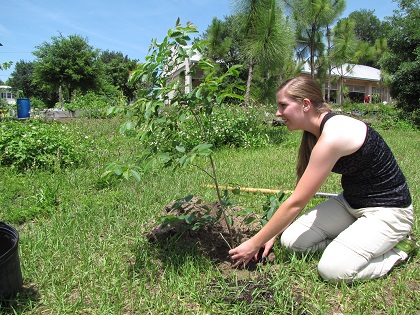 A volunteer enganged in gardening activity