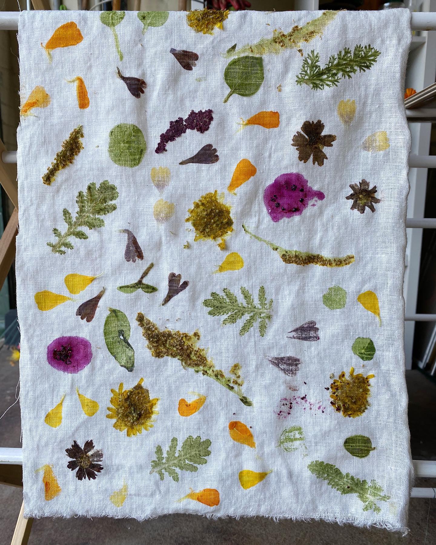 A white cloth with multiple prints of plants using natural dye