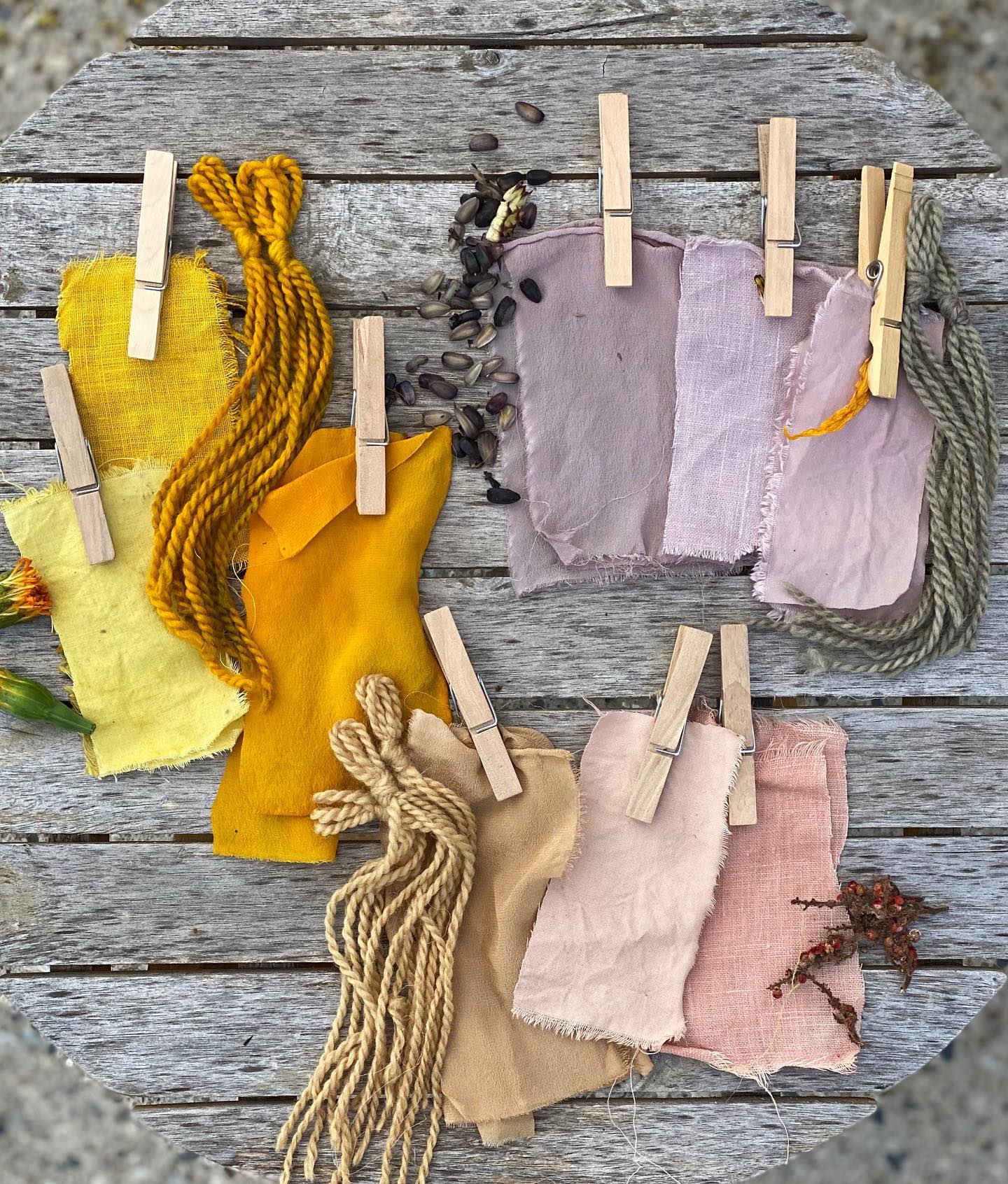 Textile samples with the natural dyes