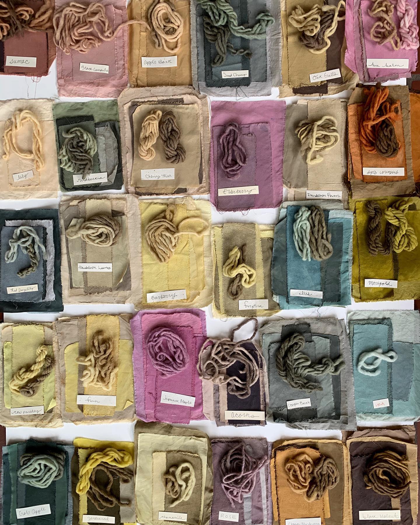 An organized display of yarn samples