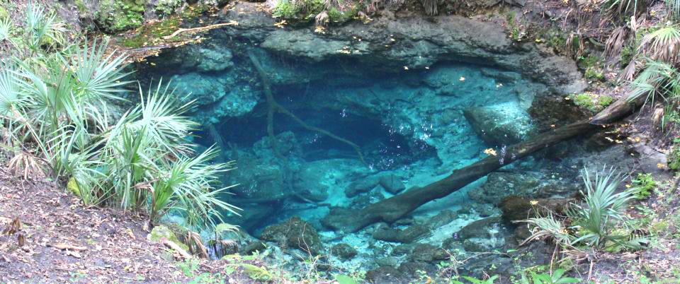 Olsen Sink, Suwannee County