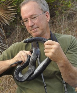Peter May profile picture