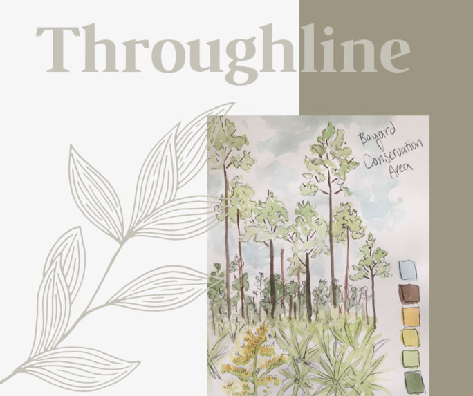 Throughline art-in-nature gallery