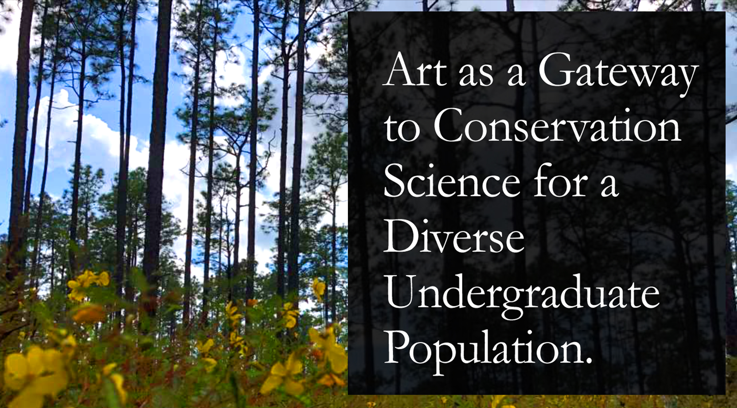 Art as a Gateway to Conservation Science for a Diverse Undergraduate Population