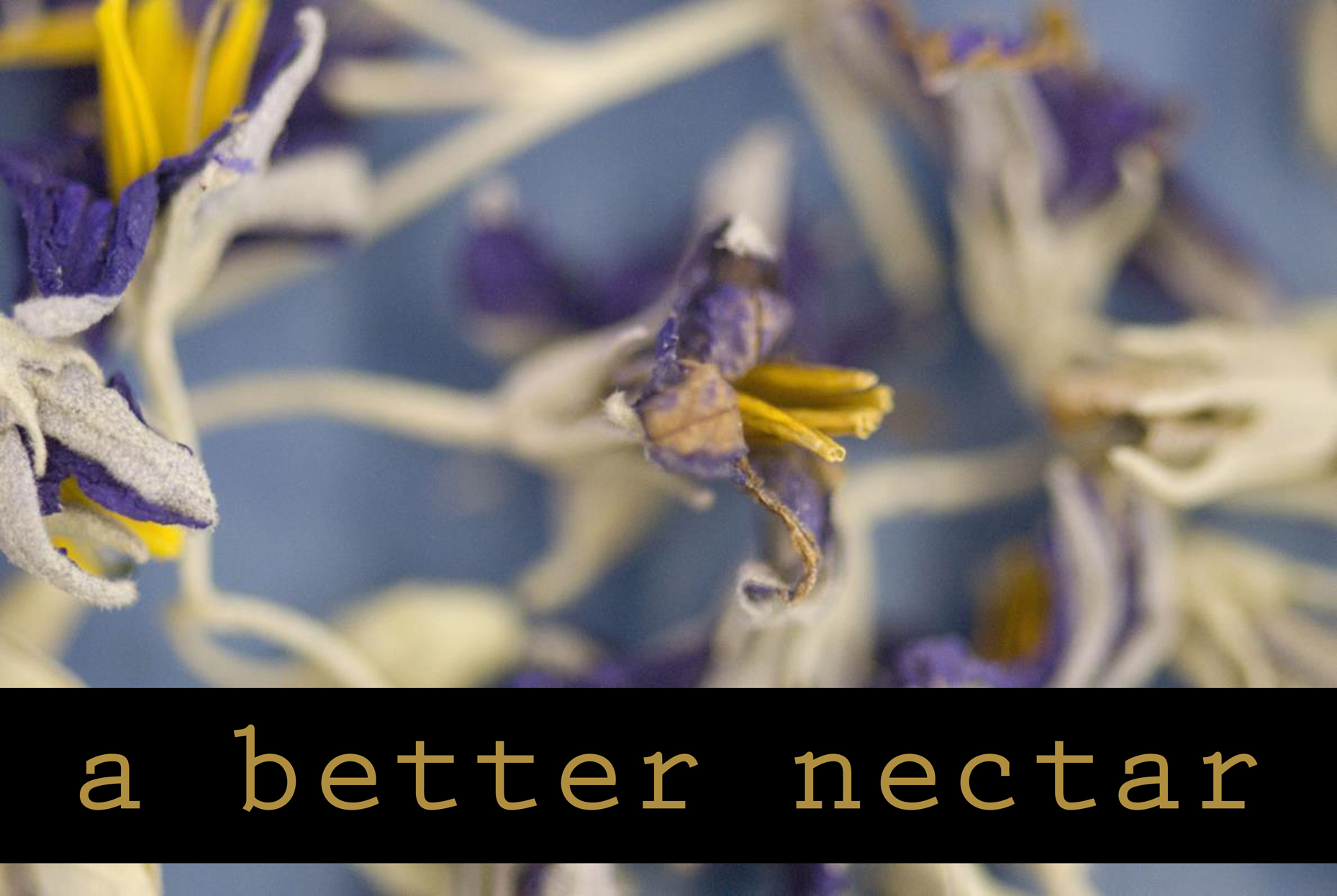 a better nectar exhibit