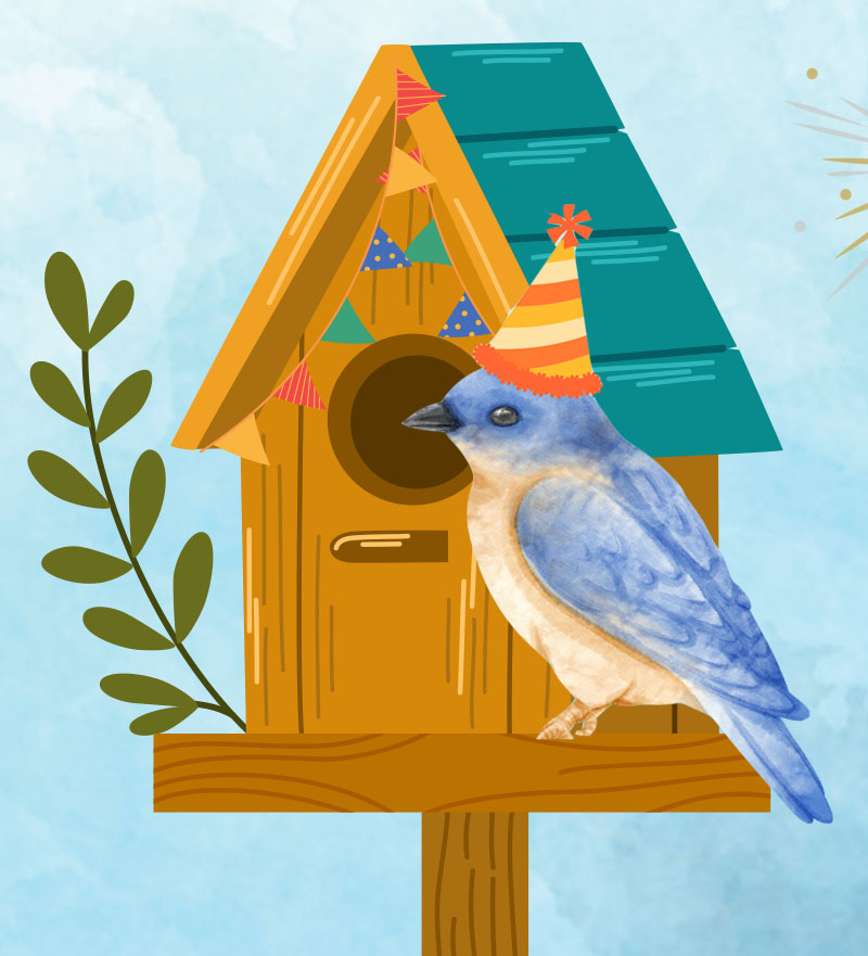 Bluebird Box Party