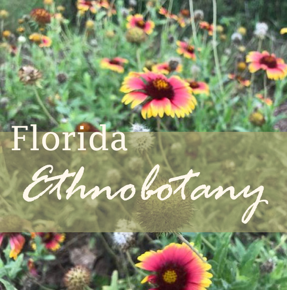 Florida Ethnobotany