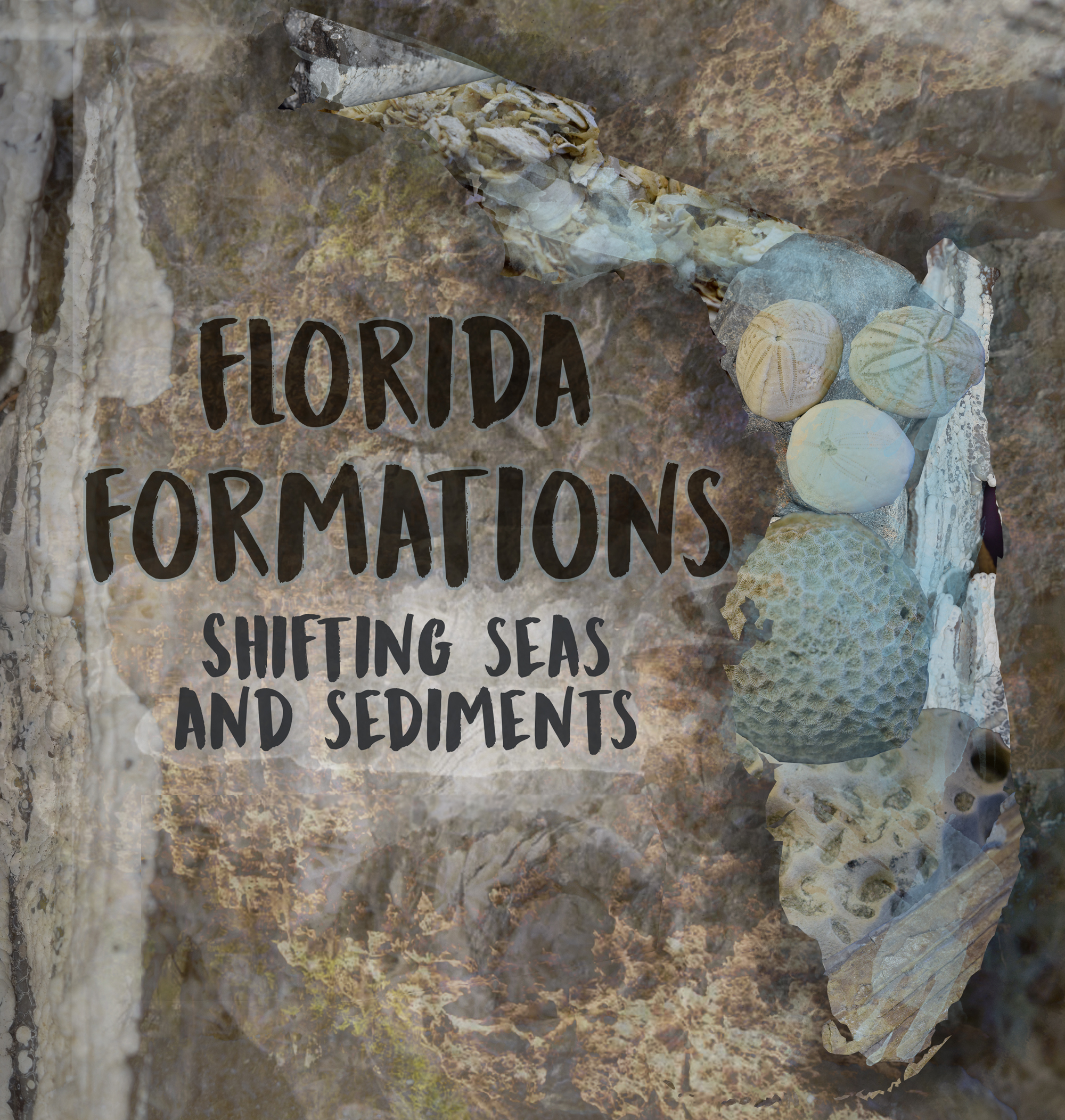 Florida Formations exhibit poster