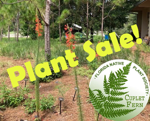Florida Native Plant Sale