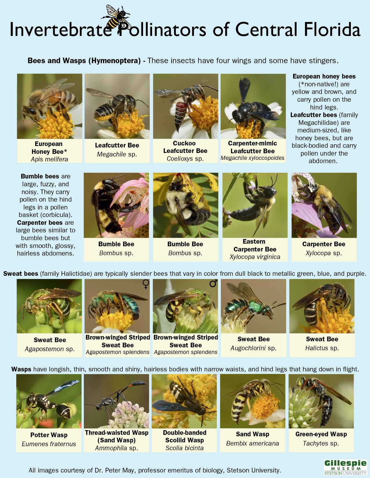 pollinator guide