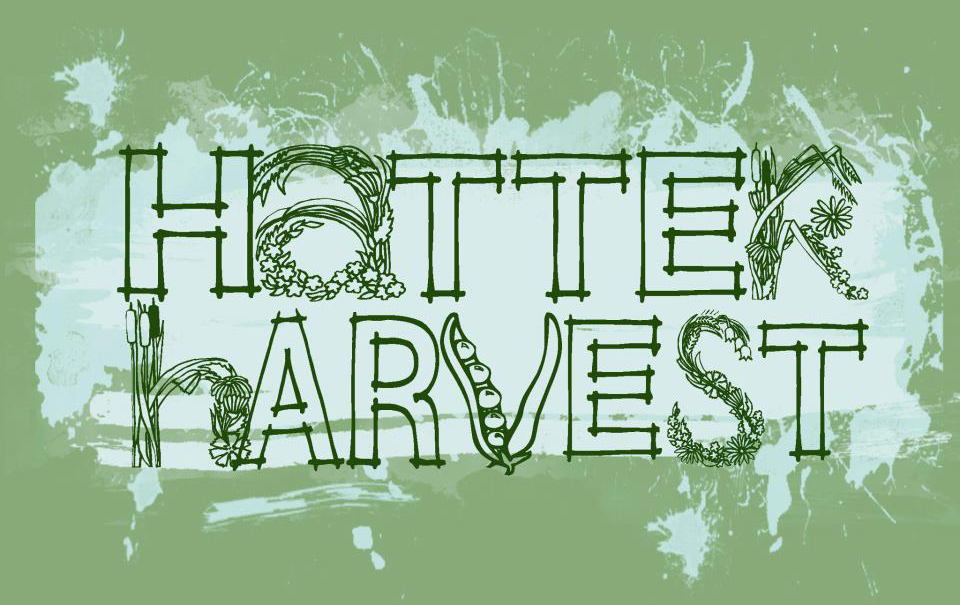 A green graphic with the words Hatter Harvest decorated with agricultural themes