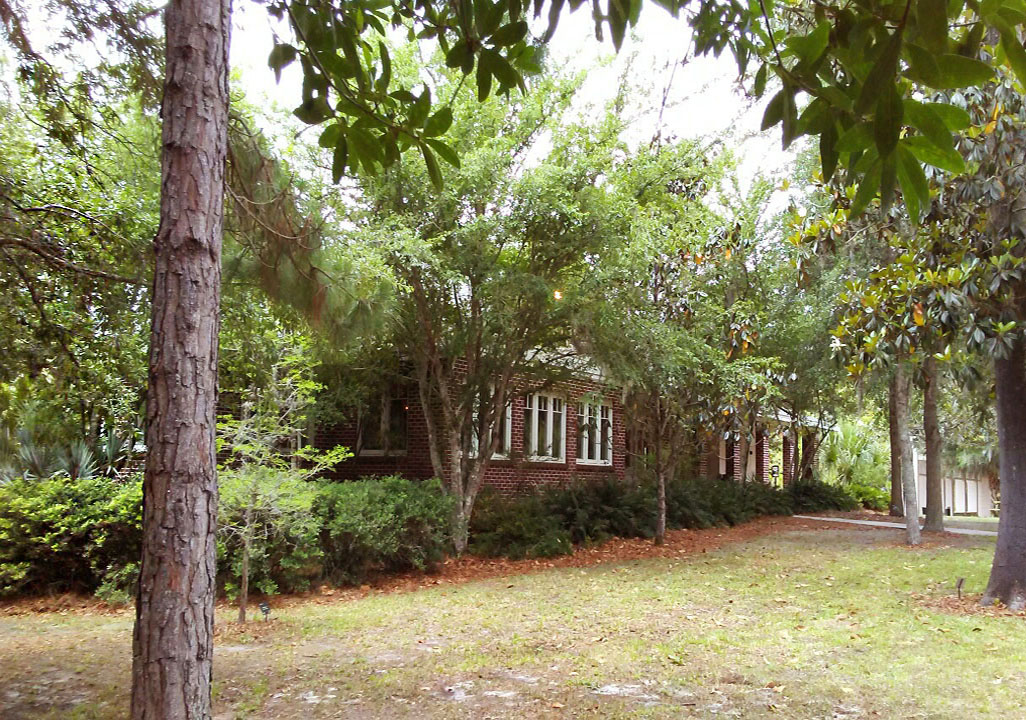 Natural Florida landscape at Gillespie Museum, credit Stetson University