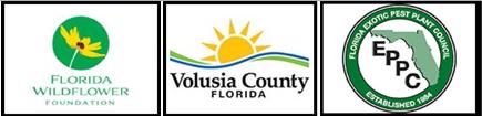 Florida Wildflower Foundation, Volusia County Florida, EPPC