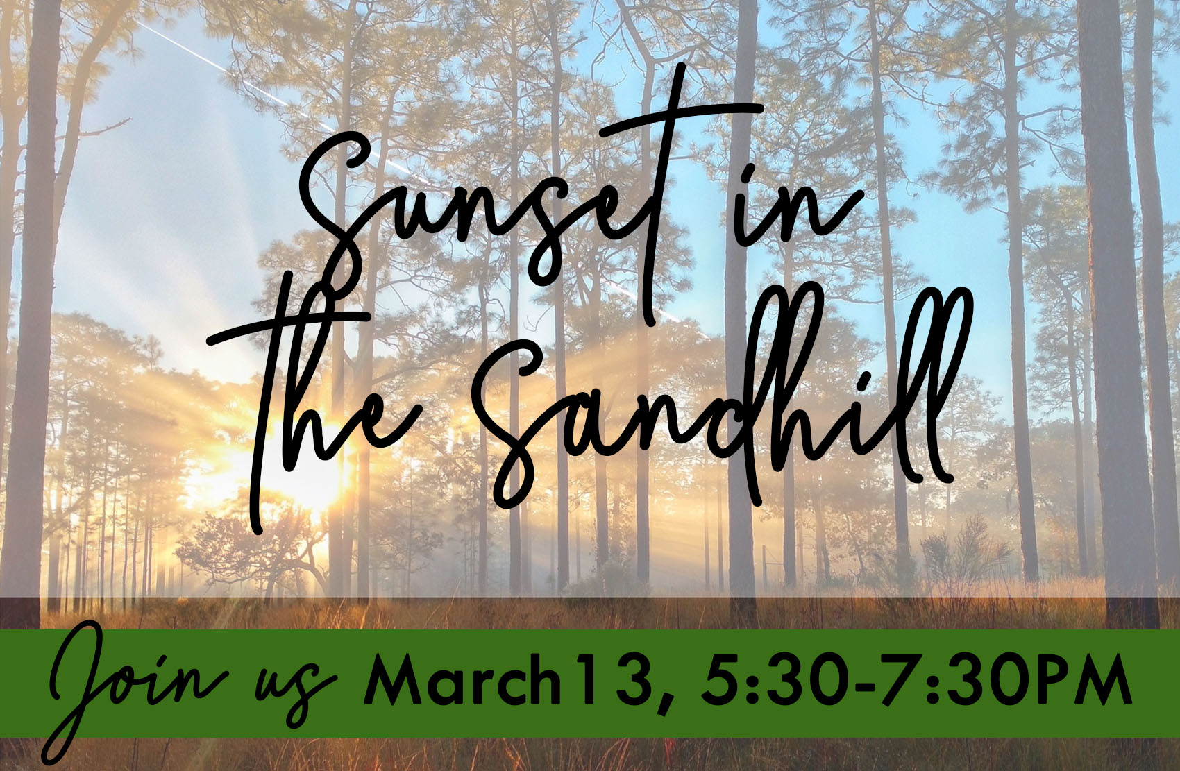 Sunset in the Sandhill