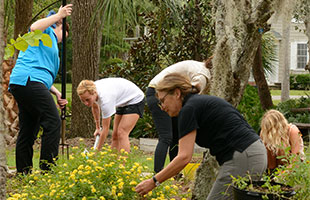 Flora of Florida students created a pollinator garden with native plants that provide both nectar and larval food sources for pollinators.